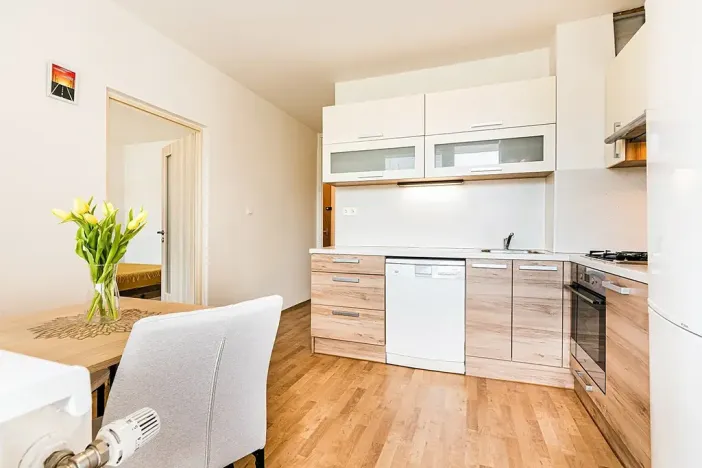 Prodej bytu 1+1, Brno, Horácké náměstí, 45 m2