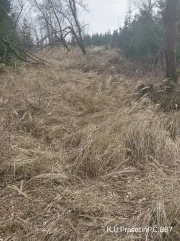 Prodej pozemku, Dolní Hořice, 2534 m2