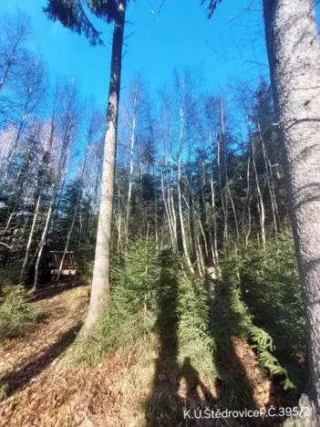 Prodej lesa, Čáslavsko, 2306 m2