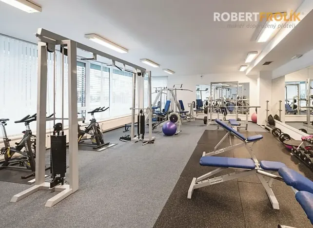 Pronájem bytu 1+kk, Praha - Libeň, Nad Okrouhlíkem, 48 m2