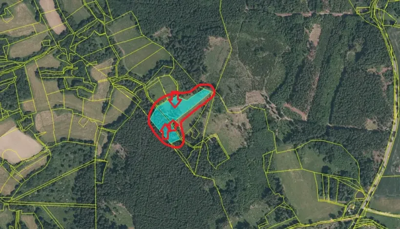 Prodej podílu lesa, Kramolín, 1401 m2