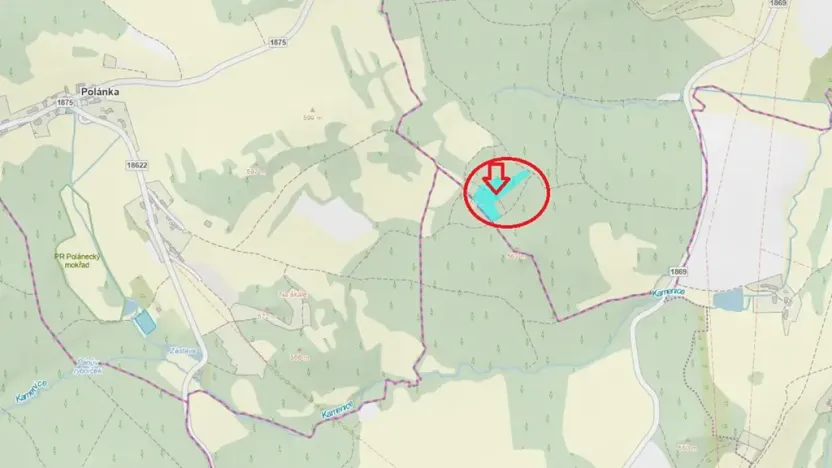 Prodej podílu lesa, Kramolín, 1401 m2