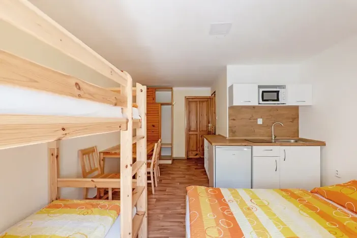 Prodej ubytování, Bartošovice v Orlických horách, 500 m2