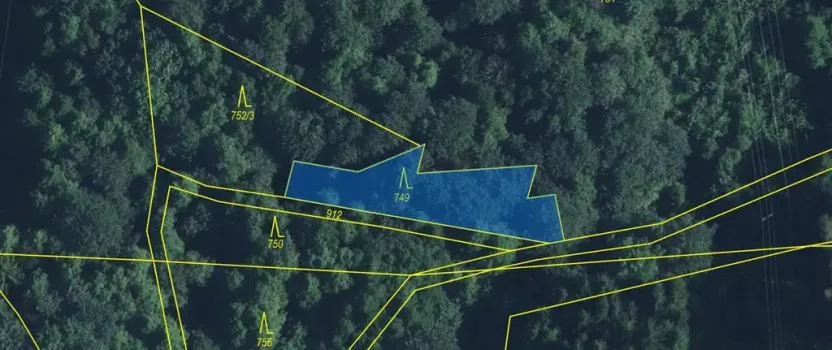 Prodej lesa, Strážná, 589 m2