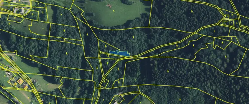 Prodej lesa, Strážná, 589 m2