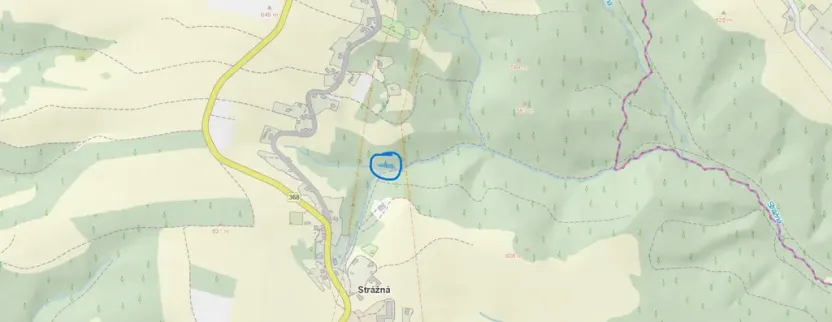 Prodej lesa, Strážná, 589 m2