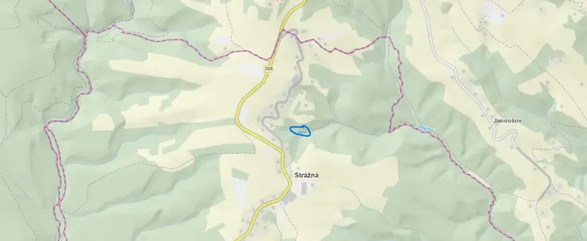 Prodej lesa, Strážná, 615 m2