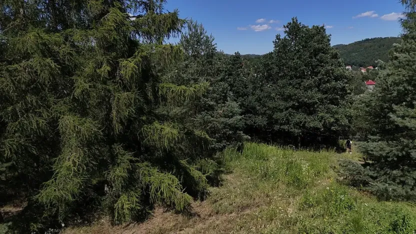 Prodej pozemku, Čtyřkoly, 3254 m2