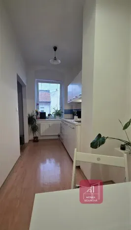 Prodej bytu 1+1, Brno, Cejl, 33 m2