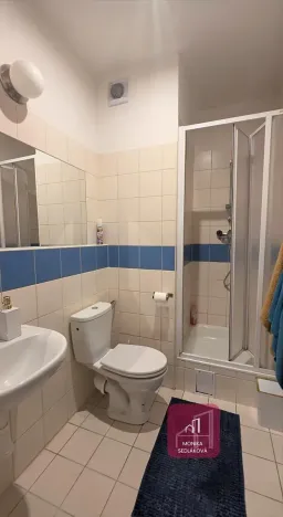 Prodej bytu 1+1, Brno, Cejl, 33 m2