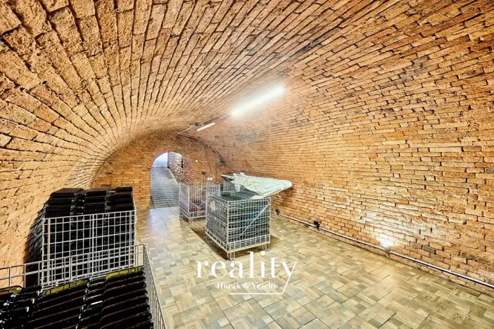 Prodej vinného sklepa, Jevišovka, 190 m2