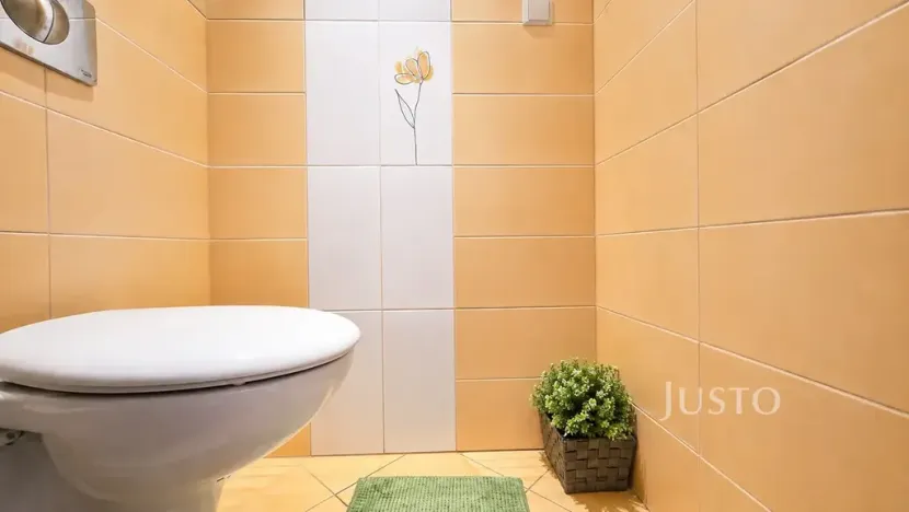 Prodej bytu 3+1, Písek, třída Přátelství, 61 m2