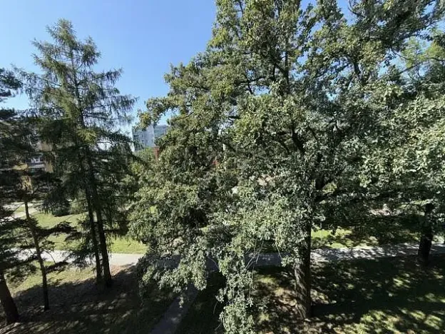 Prodej bytu 3+kk, Příbor, Choráze, 72 m2