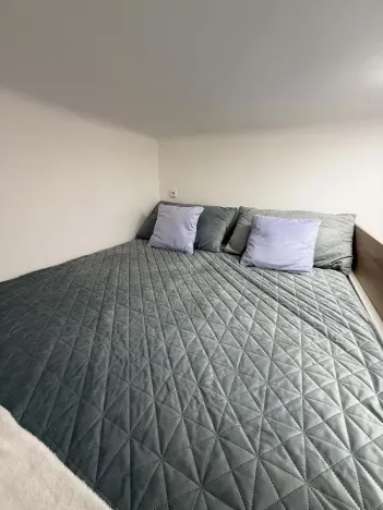 Prodej bytu 1+kk, Opava - Předměstí, Alšova, 12 m2