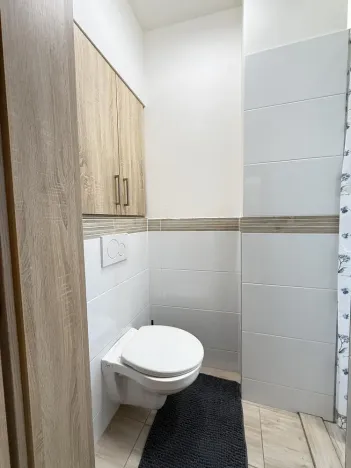 Prodej bytu 1+kk, Opava - Předměstí, Alšova, 12 m2