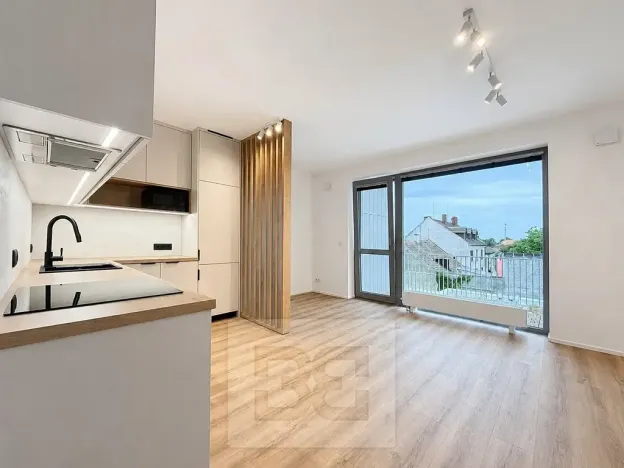 Pronájem bytu 1+kk, Brno, Řepova, 31 m2