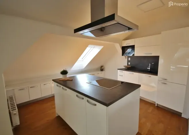 Prodej bytu 3+kk, Brno, Ríšova, 118 m2