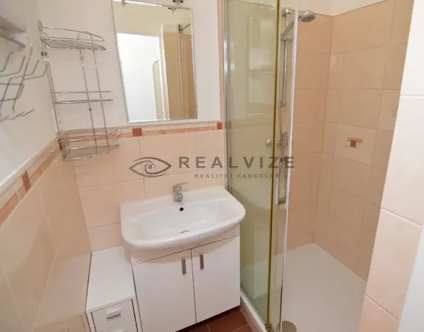 Pronájem bytu 2+kk, České Budějovice, Skuherského, 37 m2