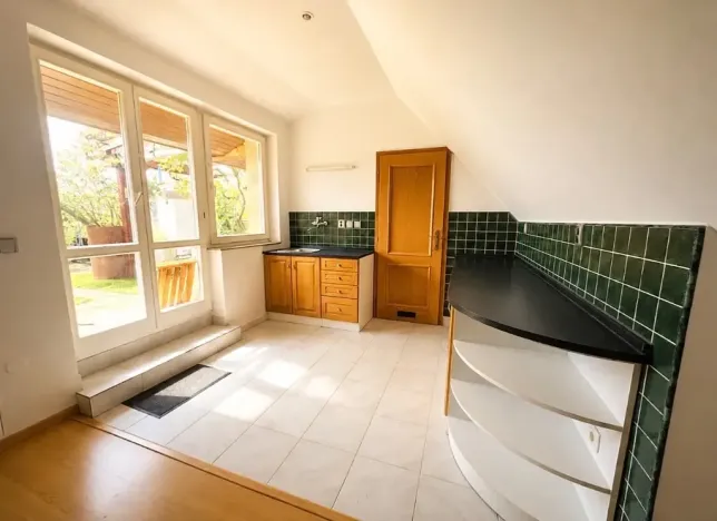 Pronájem bytu 5+kk, Praha - Vinohrady, Mánesova, 300 m2