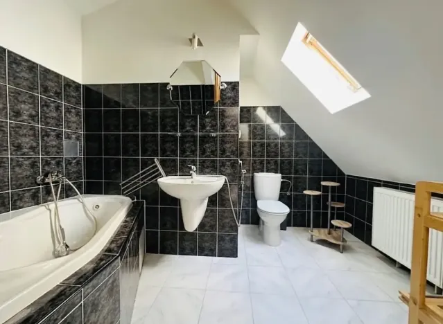 Pronájem bytu 5+kk, Praha - Vinohrady, Mánesova, 300 m2