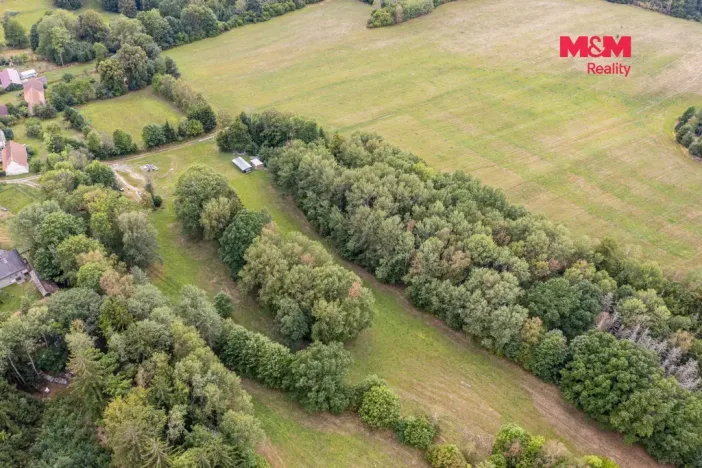 Prodej lesa, Rodná, 281 m2