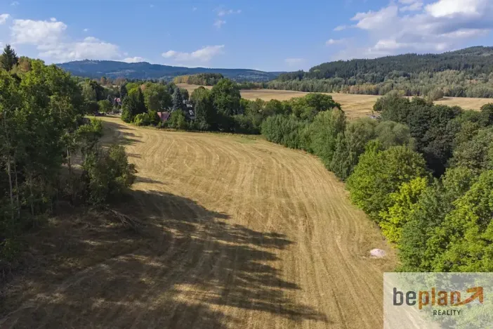 Prodej pozemku pro bydlení, Merklín, 1038 m2