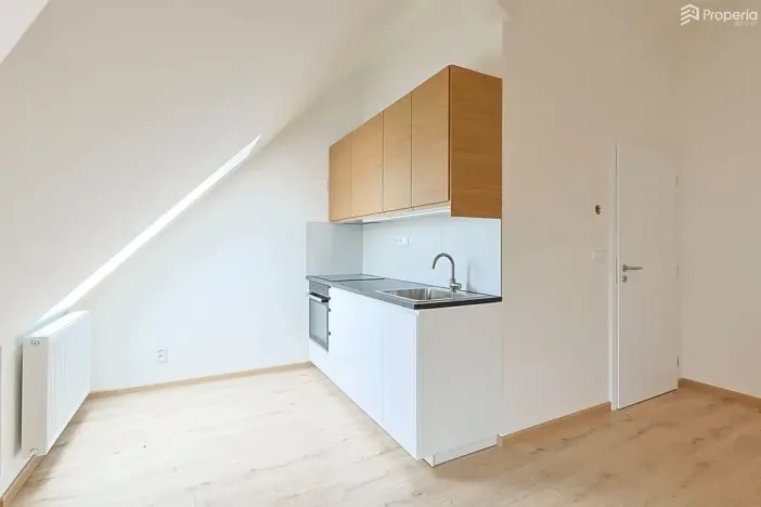 Pronájem bytu 2+kk, Brno, Lerchova, 64 m2