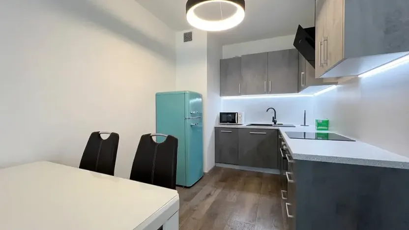 Pronájem bytu 2+kk, Praha - Karlín, Nekvasilova, 67 m2