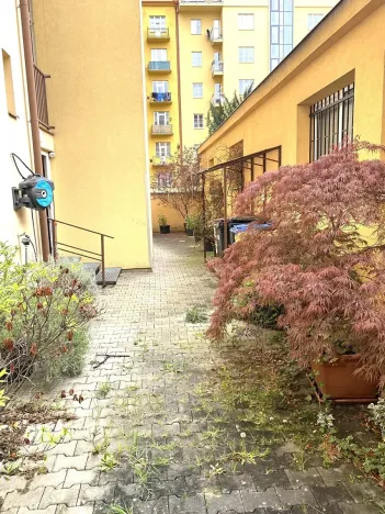 Prodej bytu 2+kk, Praha - Žižkov, Buchovcova, 55 m2