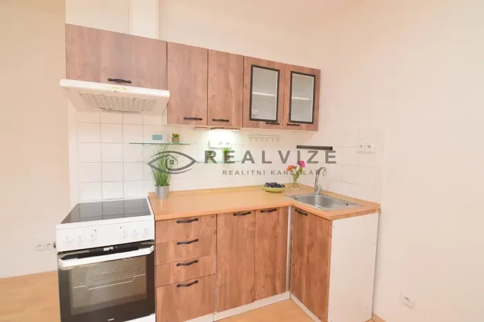 Pronájem bytu 2+kk, České Budějovice, Ledenická, 36 m2