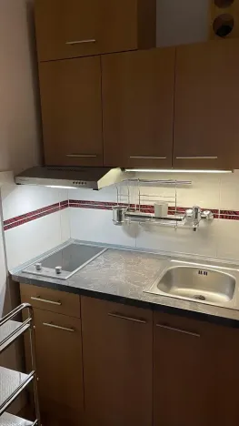 Pronájem bytu 1+kk, Jablonec nad Nisou, U Staré lípy, 27 m2