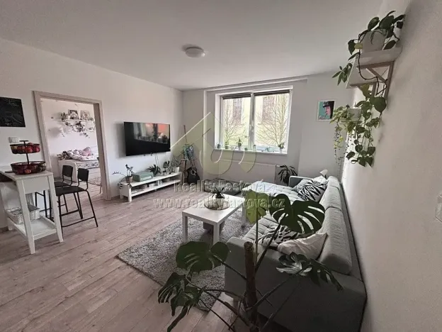 Pronájem bytu 3+kk, Radnice, náměstí Kašpara Šternberka, 53 m2