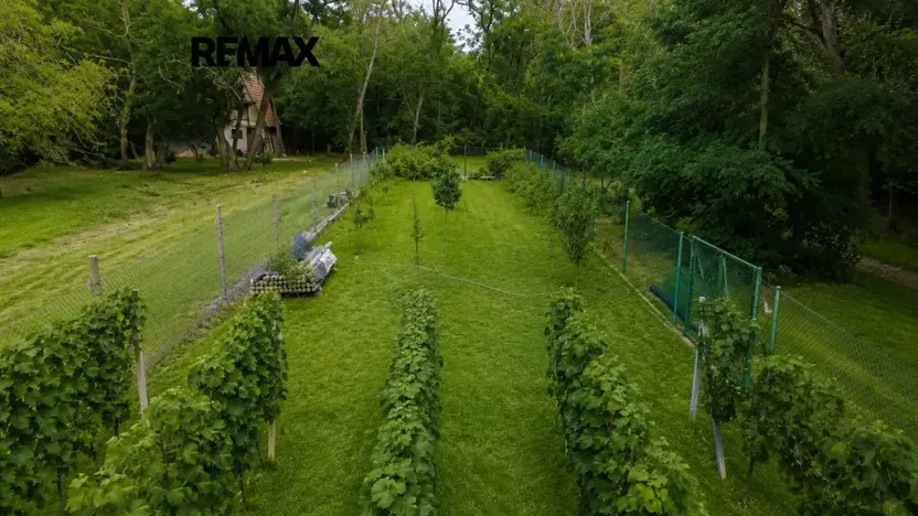 Prodej zahrady, Břeclav, 1560 m2