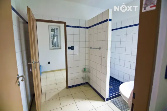 Prodej obchodního prostoru, Soběslav, Wilsonova, 490 m2