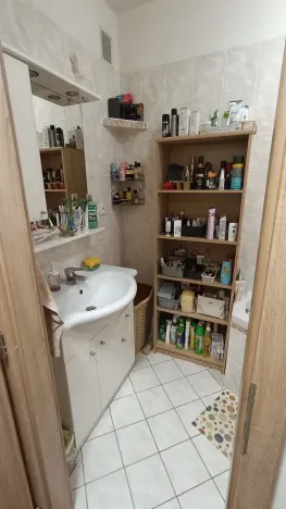 Prodej bytu 2+1, Třebíč, Družstevní, 53 m2
