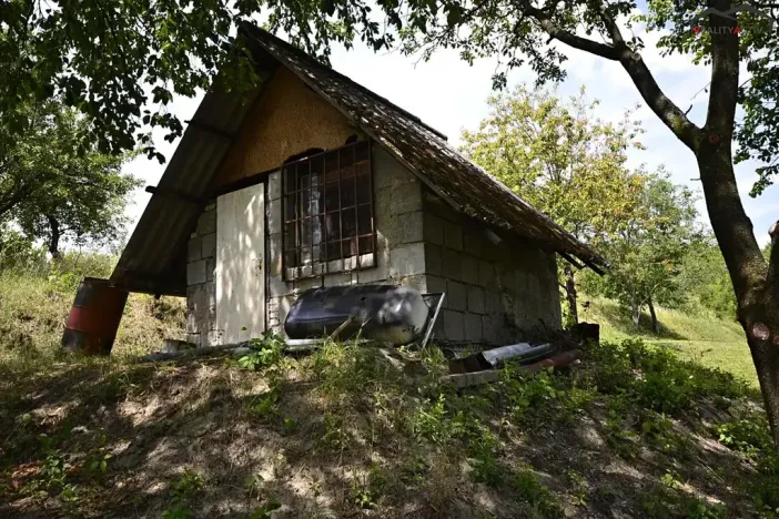 Prodej sadu/vinice, Bzenec, 2460 m2