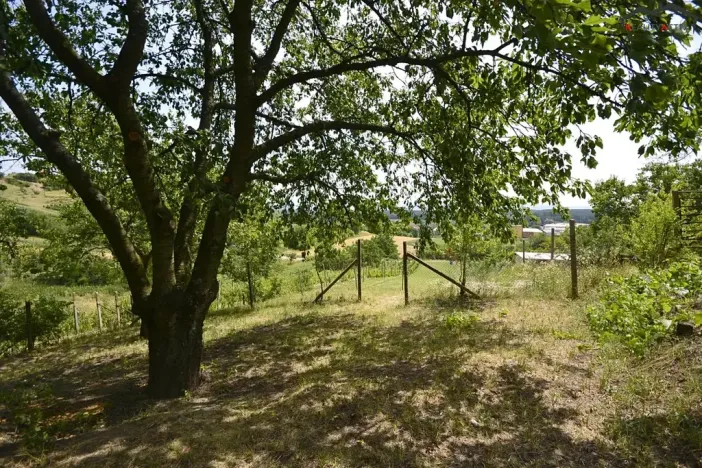 Prodej sadu/vinice, Bzenec, 2460 m2