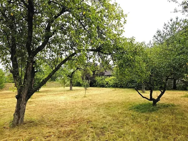 Prodej pozemku pro bydlení, Ronov nad Doubravou, Lichnická, 750 m2