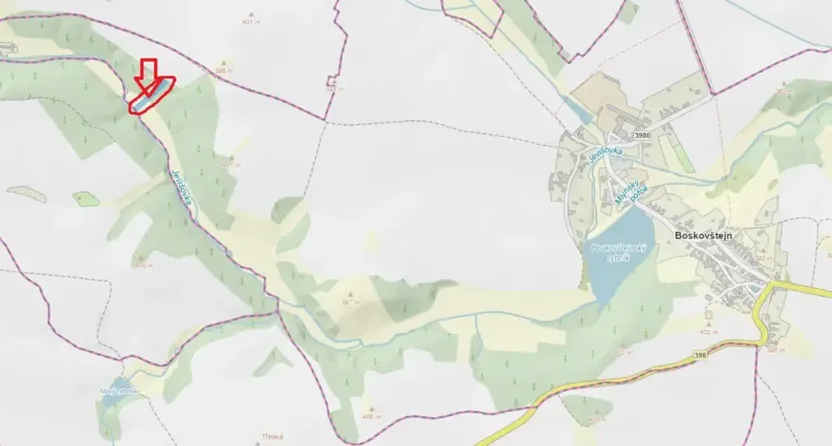 Prodej lesa, Boskovštejn, 1959 m2