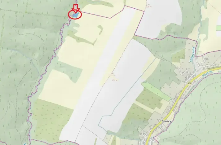 Prodej podílu lesa, Šarovy, 2437 m2