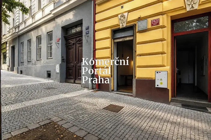 Pronájem restaurace, Praha - Vinohrady, Bořivojova, 195 m2