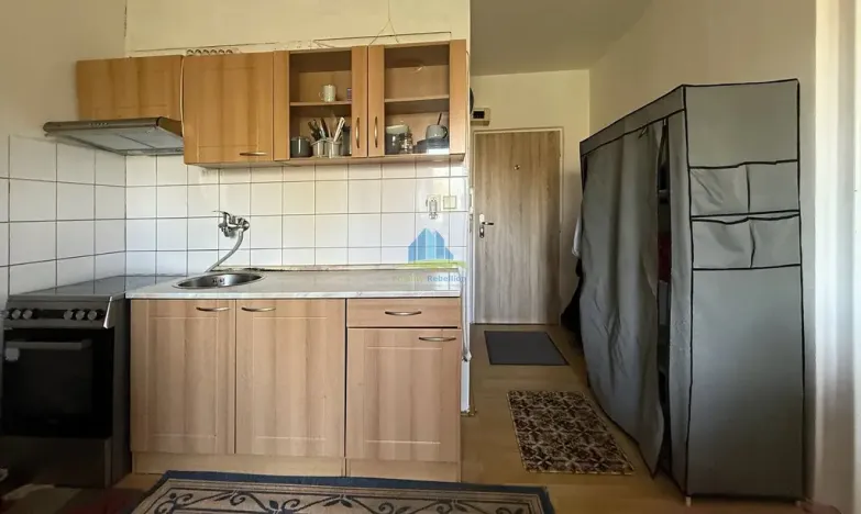 Prodej bytu 1+1, Plesná, Světlá, 35 m2