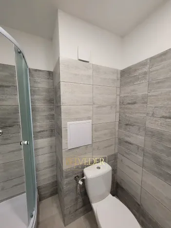Pronájem bytu 2+kk, Teplice, Zelená, 40 m2