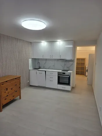 Pronájem bytu 1+kk, Praha, Nad olšinami, 27 m2