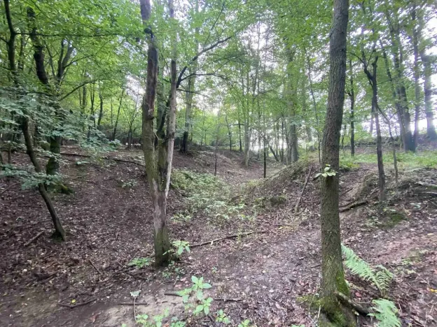 Prodej pozemku, Křečovice - Nahoruby, 3382 m2