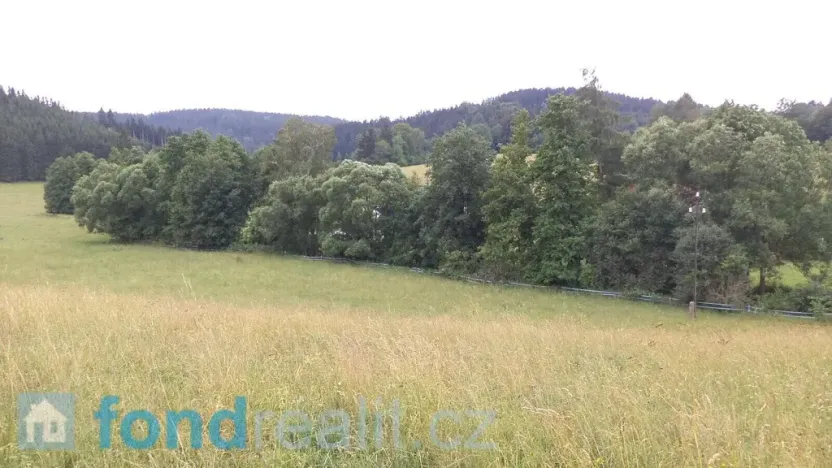 Prodej pole, Staré Buky, 10957 m2