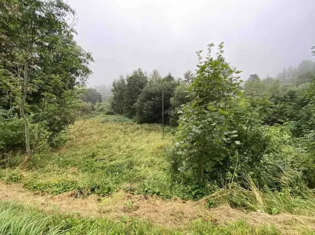 Prodej pozemku, Andělská Hora - Pustá Rudná, 1758 m2