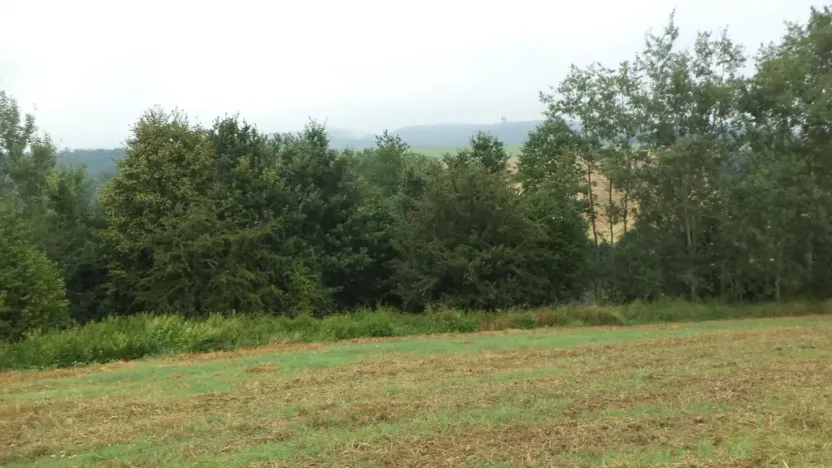 Prodej pozemku, Radkov, 1834 m2