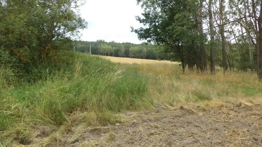 Prodej zahrady, Heřmanova Huť - Vlkýš, 1100 m2