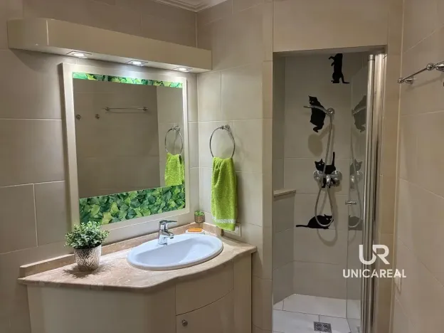 Pronájem bytu 1+kk, Brno - Staré Brno, Kopečná, 30 m2